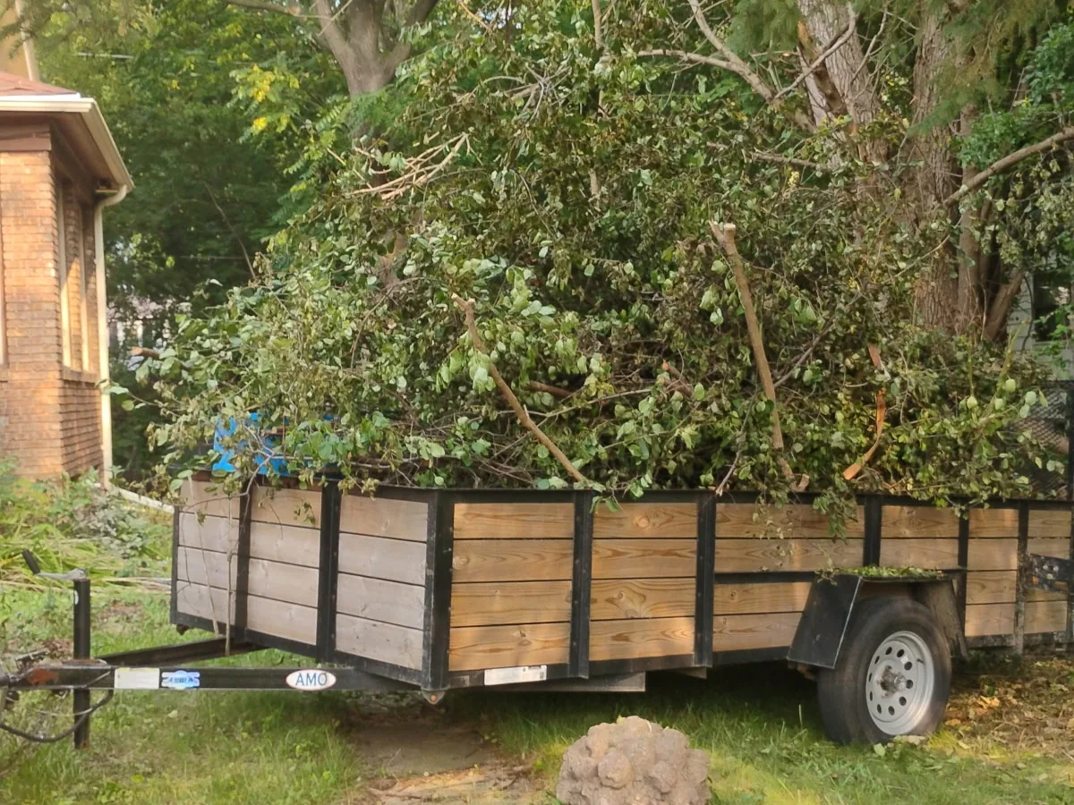 Trailer heaped with brush and tree cuttings