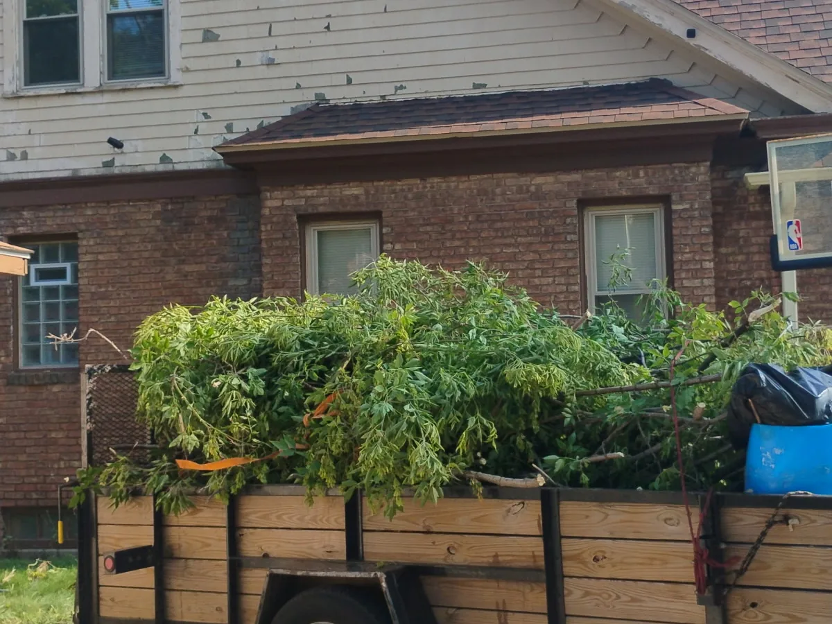 Trailer loaded with cut branches from a brush cleanup