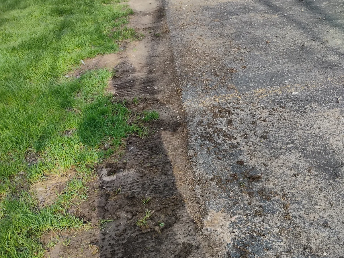 Grass edge trimmed back from asphalt pavement