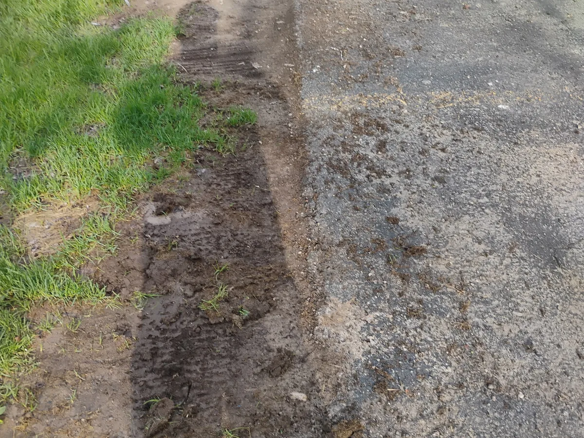 Overgrown lawn edge cut back along asphalt pavement
