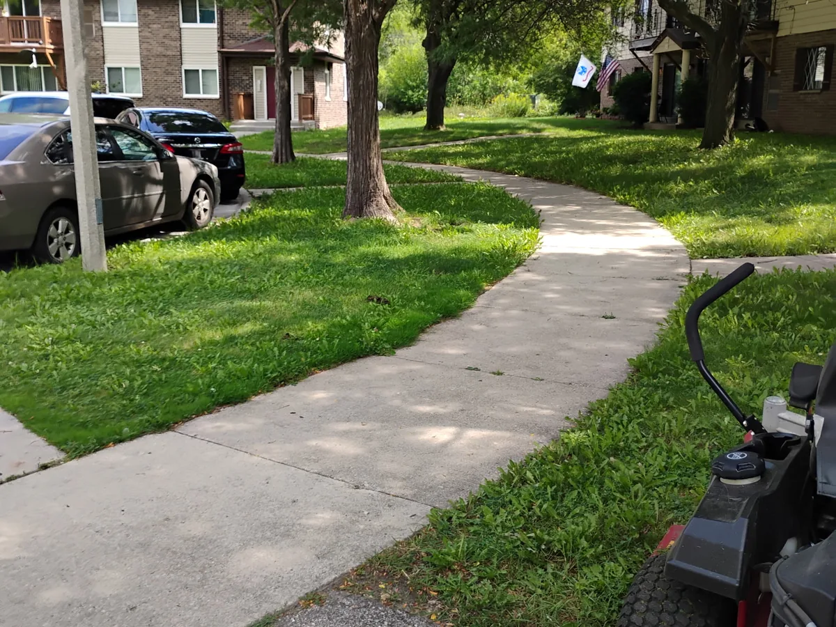 Zero-turn mower mowing a lawn along a concrete walkway